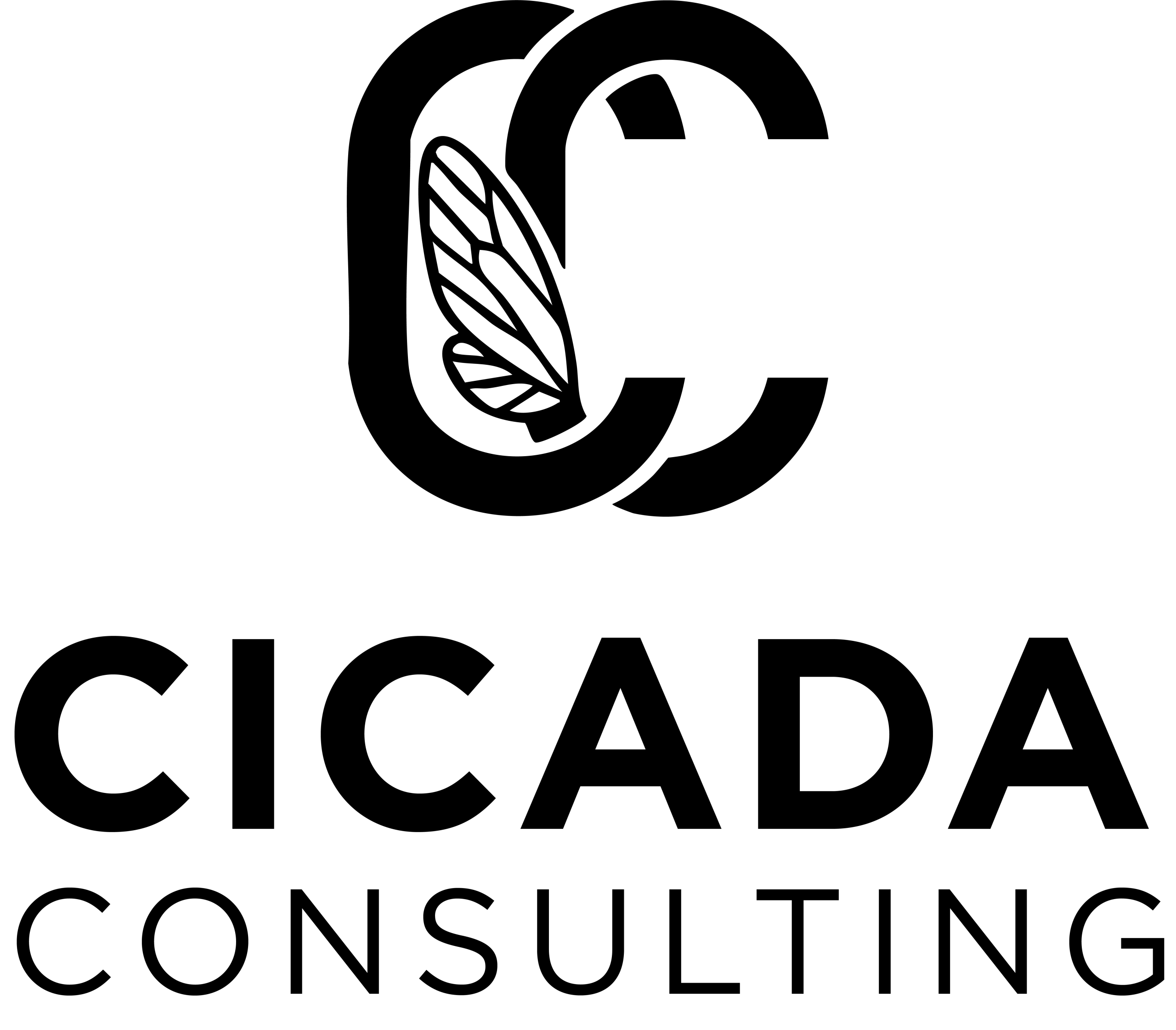 Cicada Consulting LLC